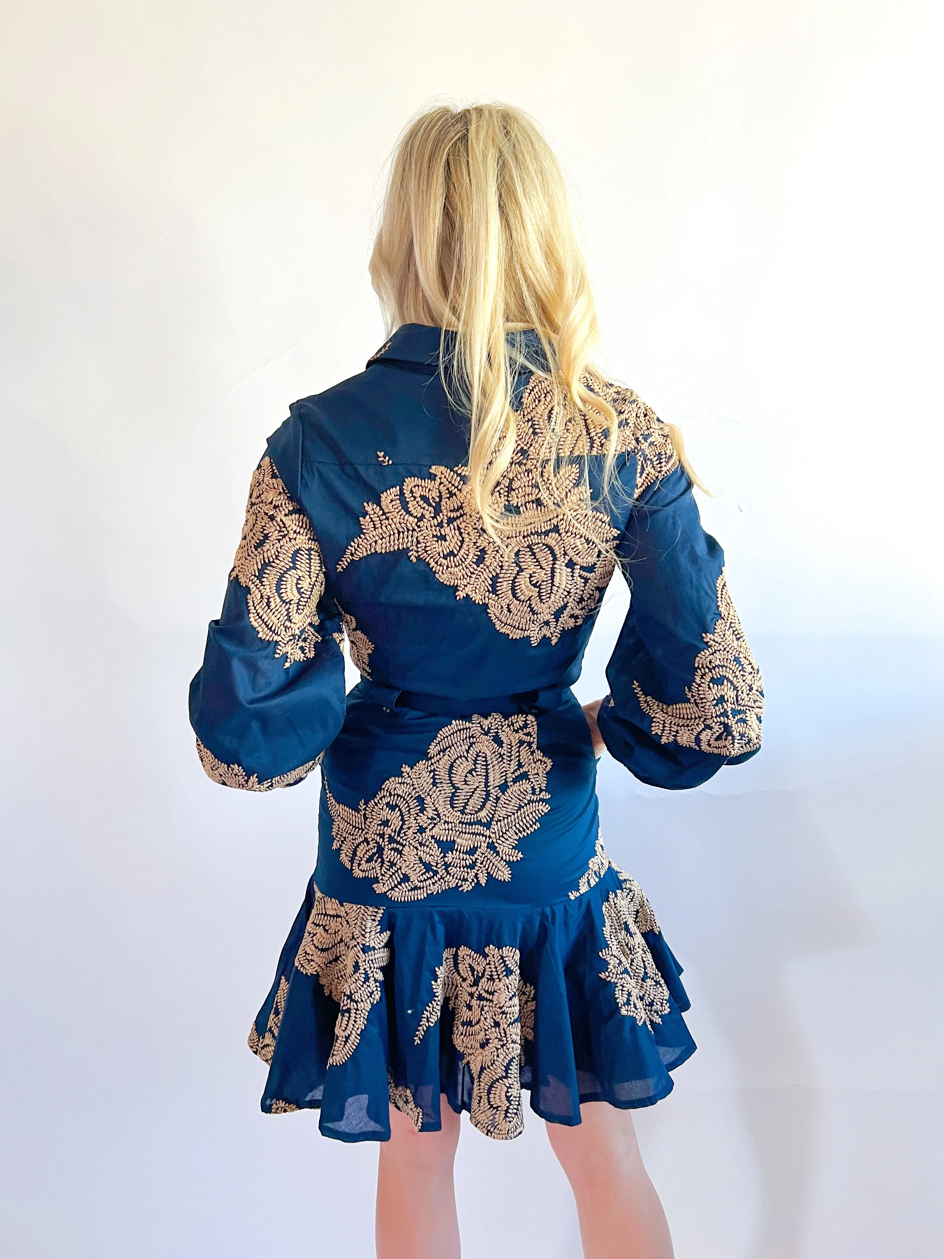 Ina Embroidered Flare Mini Dress
