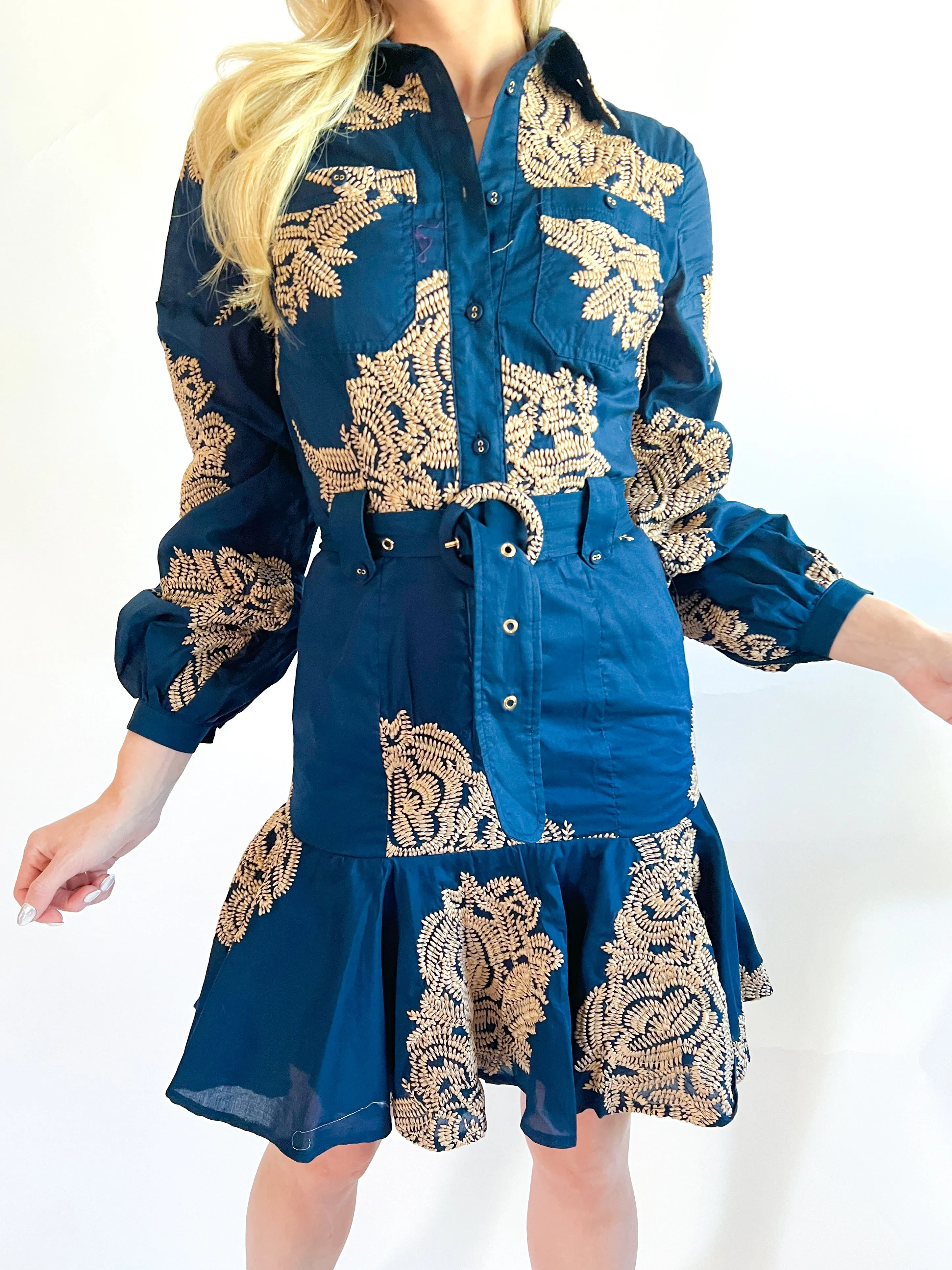 Ina Embroidered Flare Mini Dress