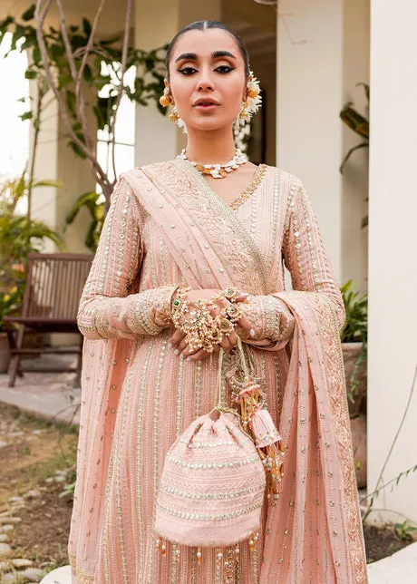 Peach Pink Shirt Capri for Pakistani Wedding Dresses