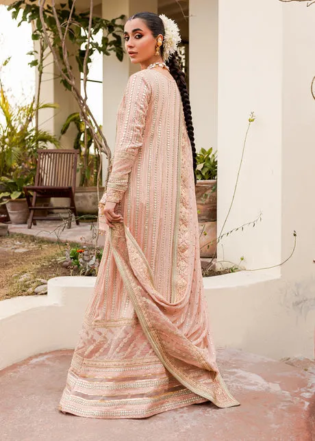 Peach Pink Shirt Capri for Pakistani Wedding Dresses